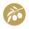 STANDARDIZATION olive oil